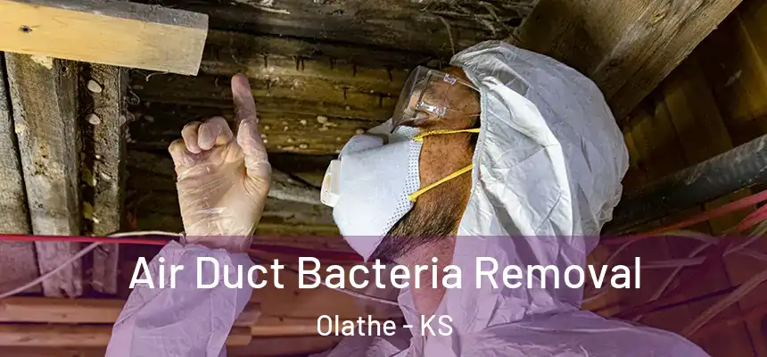  Air Duct Bacteria Removal Olathe - KS