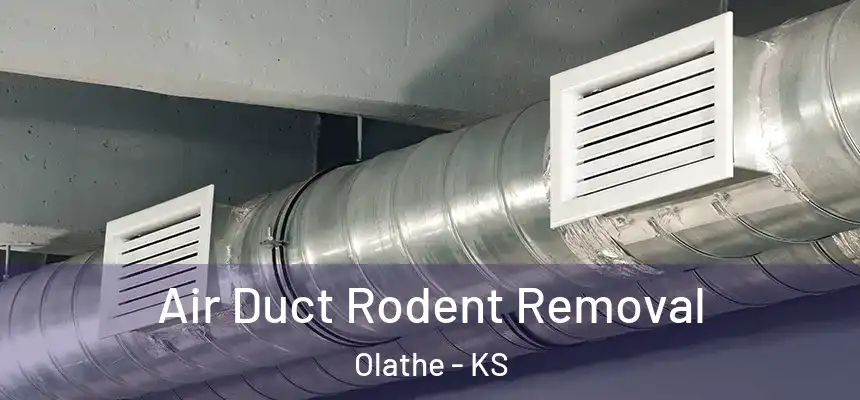 Air Duct Rodent Removal Olathe - KS
