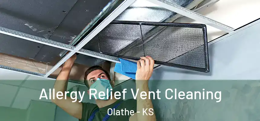 Allergy Relief Vent Cleaning Olathe - KS