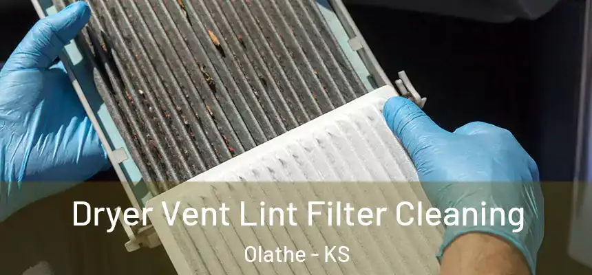 Dryer Vent Lint Filter Cleaning Olathe - KS