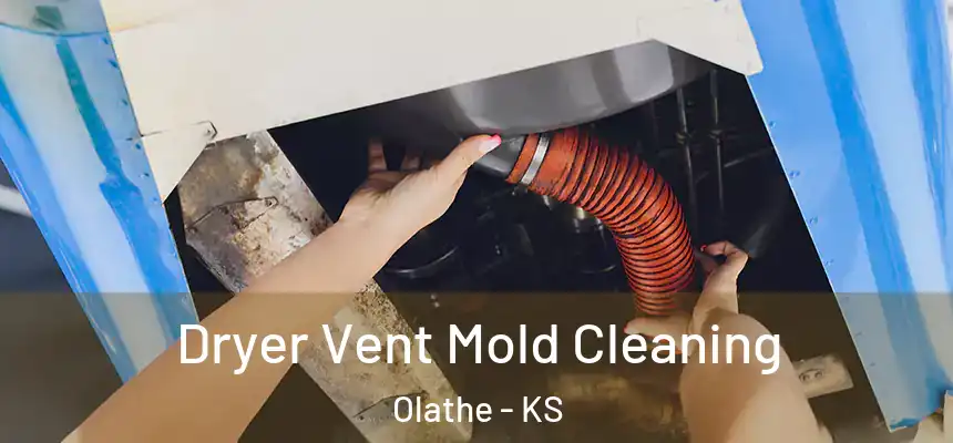 Dryer Vent Mold Cleaning Olathe - KS