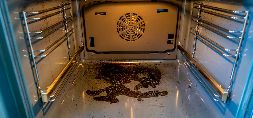 Our Dryer Vent Mold Cleaning Services in Olathe, KS