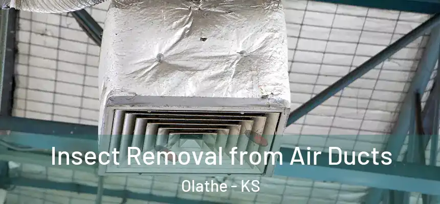 Insect Removal from Air Ducts Olathe - KS