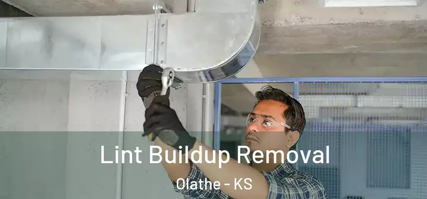 Lint Buildup Removal Olathe - KS