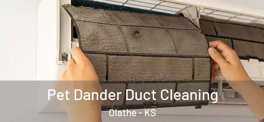 Pet Dander Duct Cleaning Olathe - KS