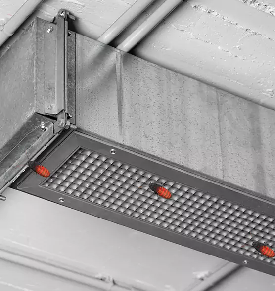 About Air Duct Cockroach Removal in Olathe, KS