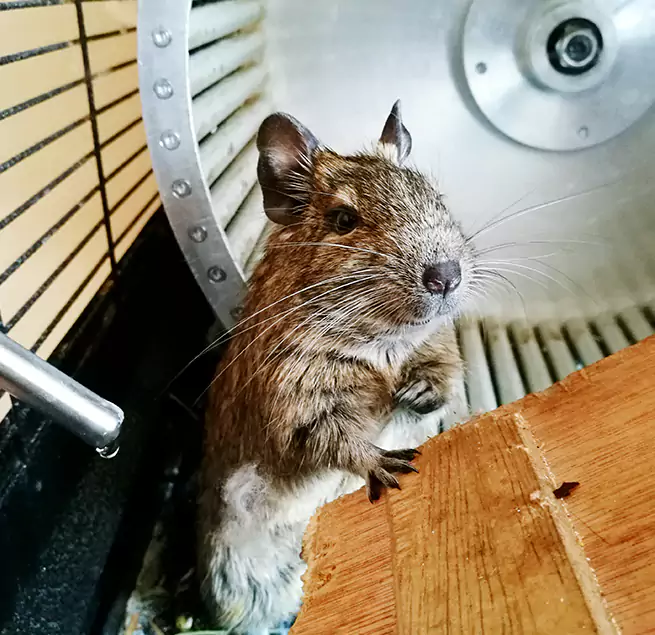 Why Homeowners & Businesses Trust Us Olathe, KS?