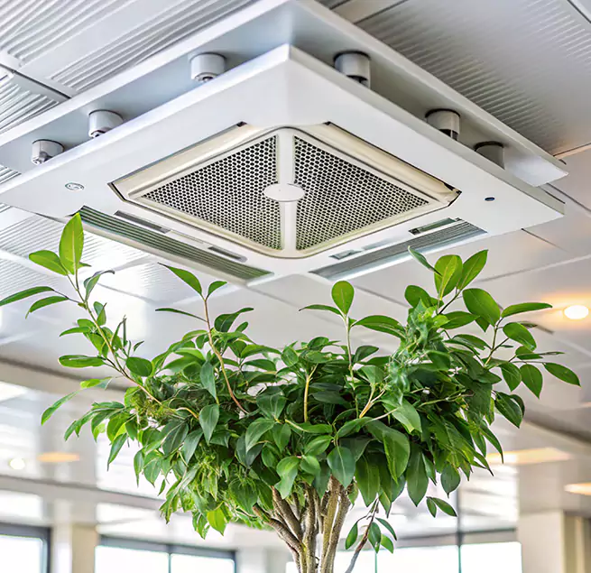 Why Homeowners & Businesses Trust Us in Olathe, KS?